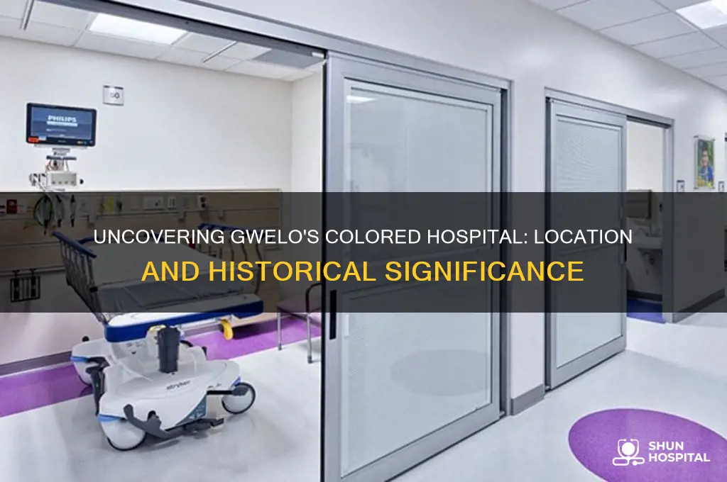 where was the colored hospital in gwelo