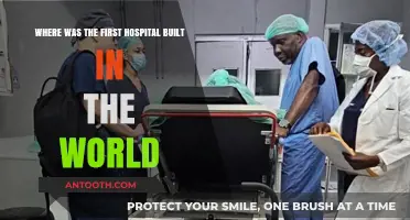 The Birthplace of Healthcare: World's First Hospital Unveiled