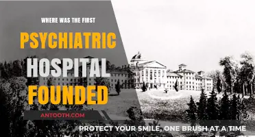 The Birthplace of Psychiatry: Where the First Hospital Was Founded