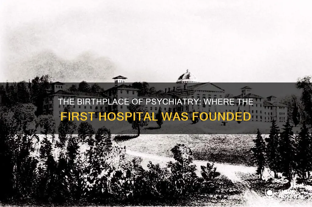 where was the first psychiatric hospital founded