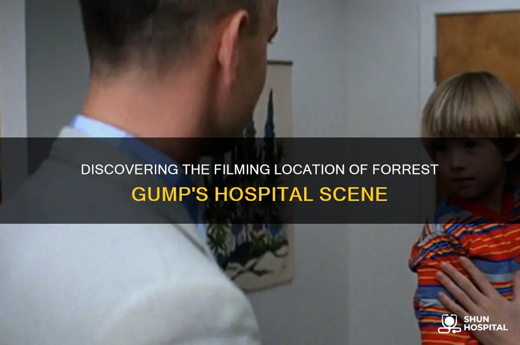 where was the hospital forrest was in
