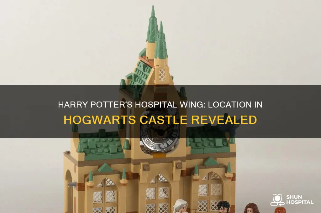 where was the hospital found in harry potter in castle