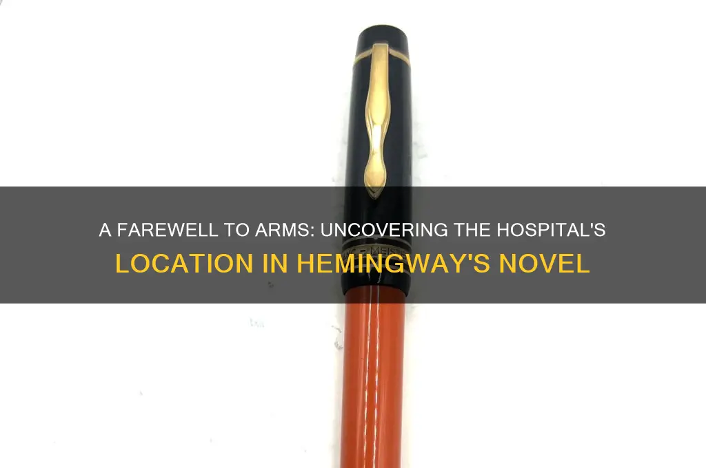 where was the hospital in a farewell to arms