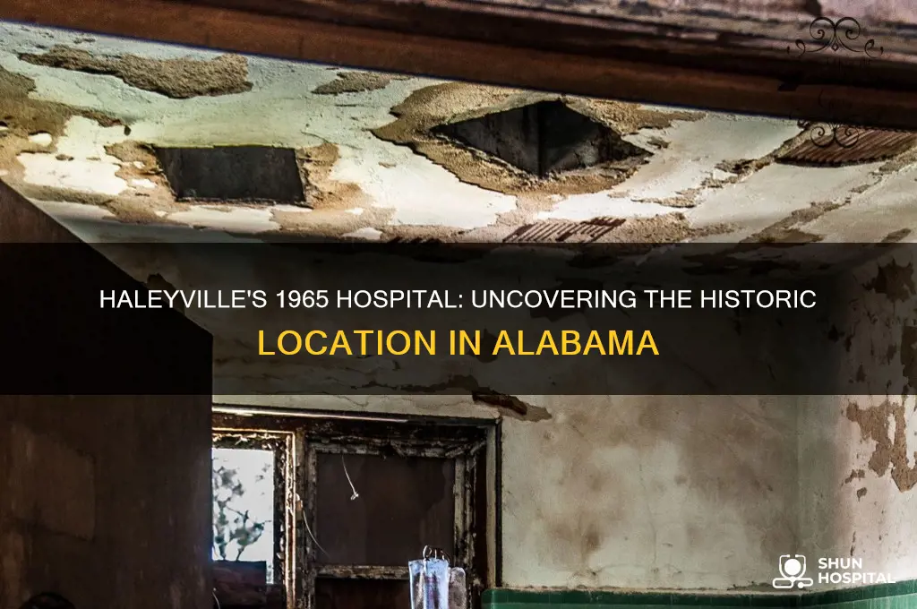 where was the hospital in haleyville alabama in 1965
