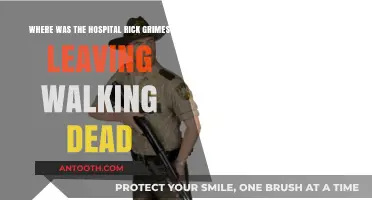 Rick Grimes' Final Destination: Unveiling The Walking Dead Hospital Location