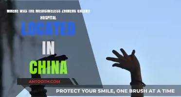 Zhineng Qigong's Medicineless Hospital: Unveiling Its Location in China