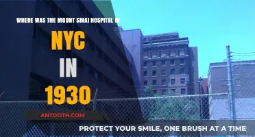 Mount Sinai Hospital's Historic NYC Location in 1930 Revealed