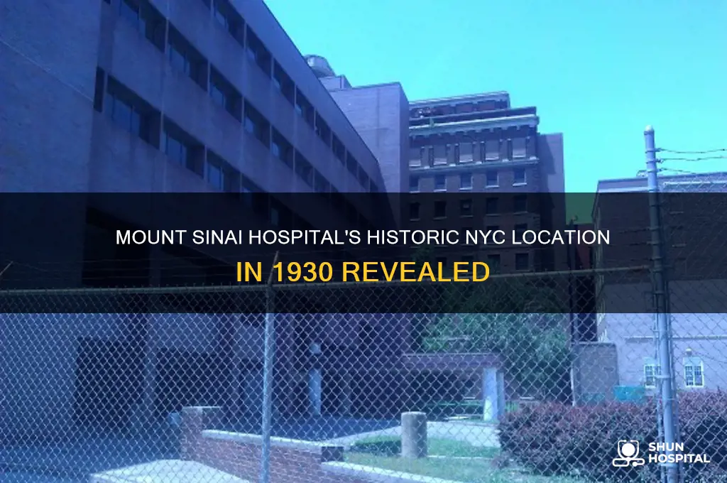 where was the mount sinai hospital in nyc in 1930
