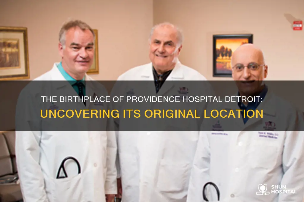 where was the the first providence hospital detroit built