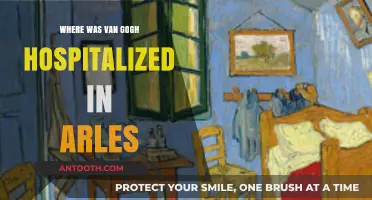 Van Gogh's Arles Hospitalization: Uncovering the Historic Asylum Location