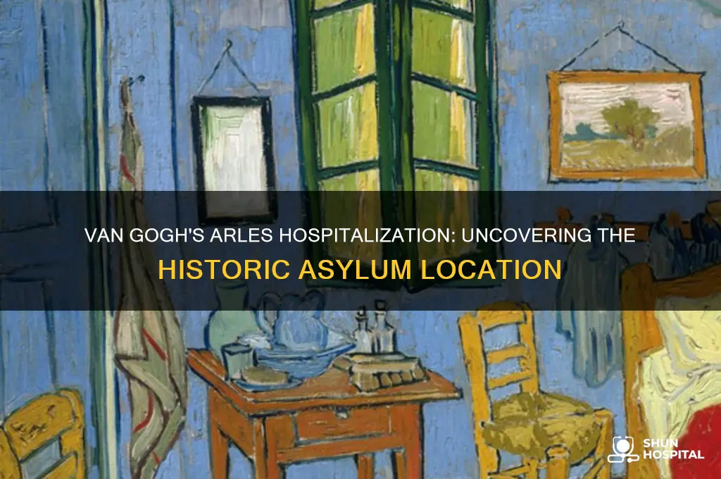 where was van gogh hospitalized in arles