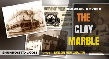 The Clay Marble's Hospital Location: Unveiling the Setting's Mystery