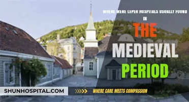 Medieval Leper Hospitals: Locations and Isolation Practices in History