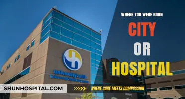 City or Hospital: Unraveling the Birthplace Mystery of Your Origins
