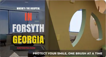 Finding Forsyth Georgia's Hospital: Location, Directions, and Essential Services