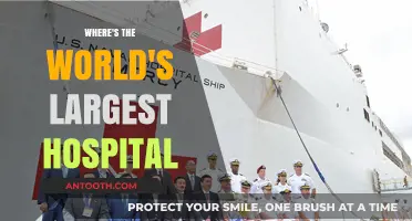 Exploring the World's Largest Hospital: Location and Scale Revealed