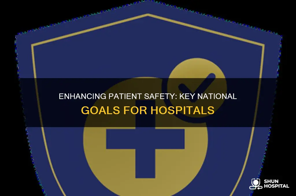 which 2 national safety goals in hospitals