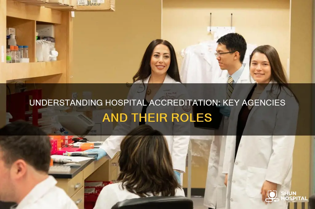 which agency is responsible for hospital accreditation
