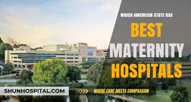 Top Maternity Hospitals: Ranking the Best U.S. States for Childbirth