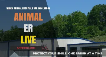 Animal ER Live: Top Animal Hospitals Participating in Real-Time Care
