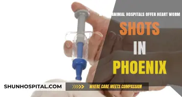 Phoenix Animal Hospitals Providing Heartworm Prevention Shots: A Guide
