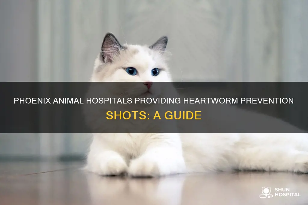 which animal hospitals offer heart worm shots in phoenix