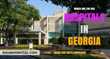 Discovering Georgia's DSH Hospitals: A Comprehensive Guide to Facilities