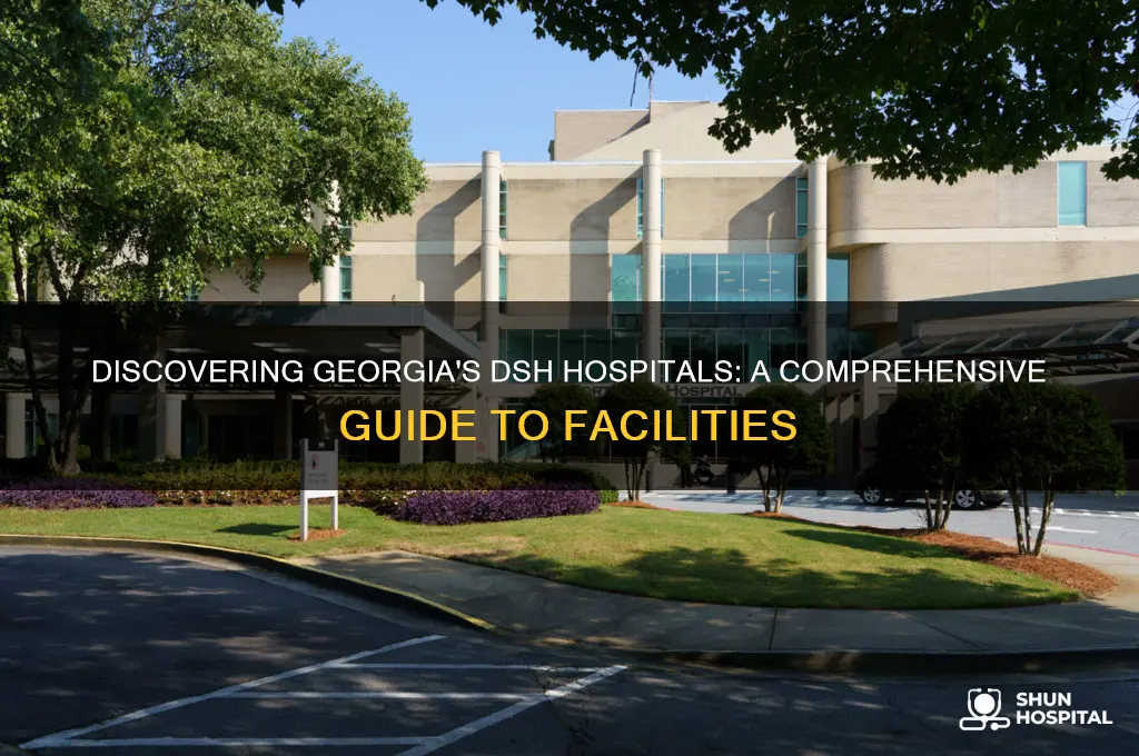 which are the dsh hospitals in georgia