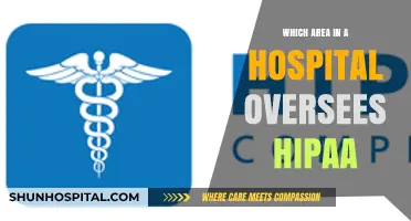 HIPAA Compliance Hub: Identifying the Hospital Department Responsible for Privacy
