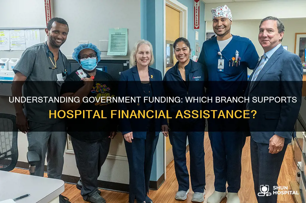 which arm of goverment funds finacial assistance for hospitals