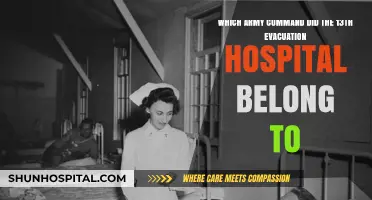 Unveiling the Army Command of the 13th Evacuation Hospital