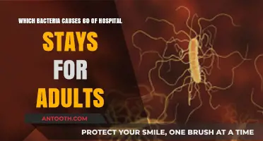 Clostridioides Difficile: The Leading Bacterial Cause of Adult Hospitalizations