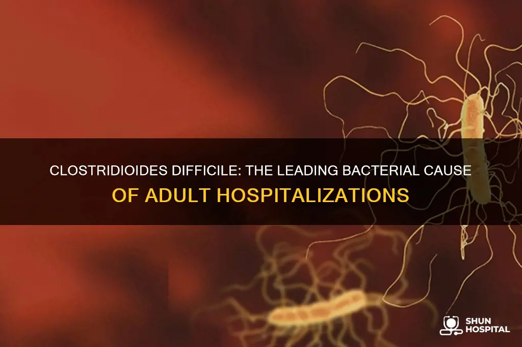 which bacteria causes 60 of hospital stays for adults
