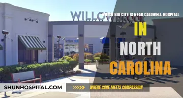 Exploring the Nearest Big City to Caldwell Hospital in North Carolina