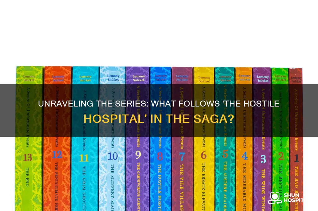 which book is after the hostile hospital
