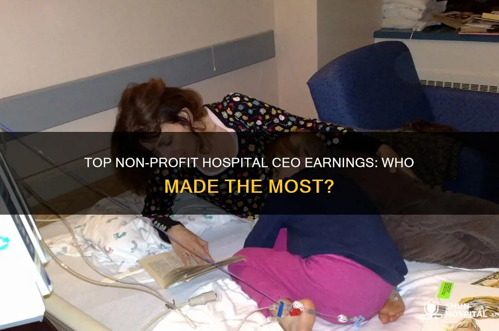 which ceo of non profit hospital made the most