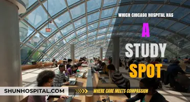 Discover Chicago's Best Hospital Study Spots for Focused Learning