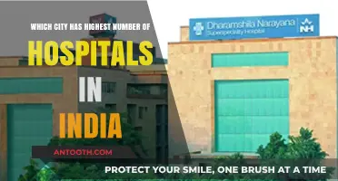 India's Healthcare Hub: Which City Leads in Hospital Count?