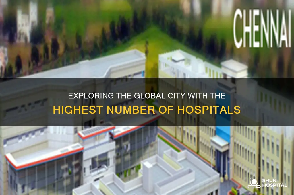 which city has most hospitals in world