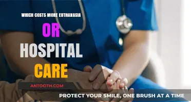 Euthanasia vs. Hospital Care: Analyzing the Financial Burden of End-of-Life Choices