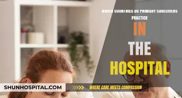 Global Hospital Caregiving: Countries Where Primary Caregivers Practice
