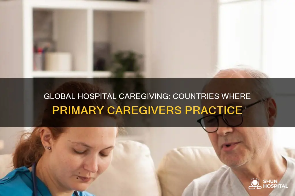 which countries do primary caregivers practice in the hospital