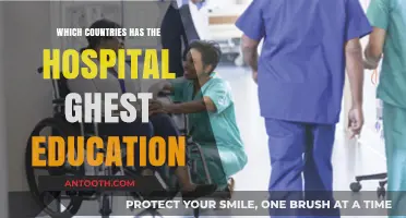 Global Leaders in Hospital Education: Top Countries Ranked