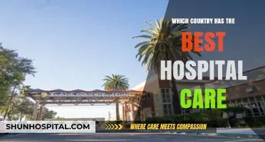 Global Healthcare Excellence: Which Country Offers the Best Hospital Care?
