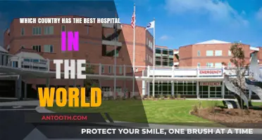 Global Healthcare Excellence: Which Country Boasts the World's Best Hospital?