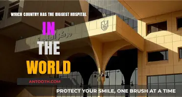 Exploring the World's Largest Hospital: A Global Healthcare Giant