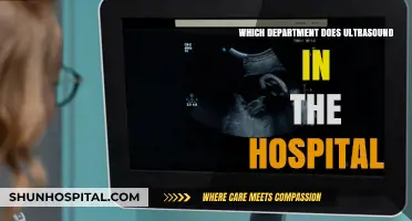 Understanding Hospital Ultrasound: Which Department Handles Imaging Procedures?