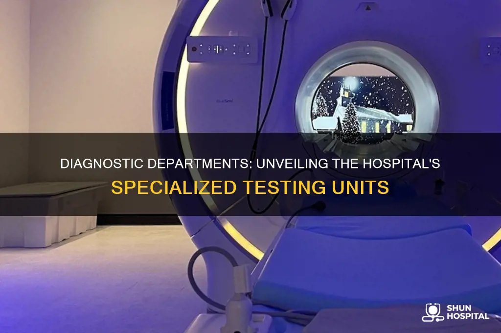 which department in a hospital provides only a diagnostic function