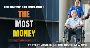 Hospital Profit Centers: Which Department Generates the Highest Revenue?