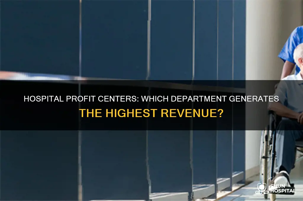 which department in the hospital makes it the most money
